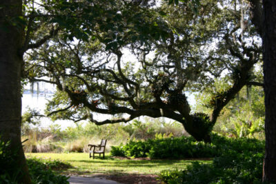 Outdoor Park
