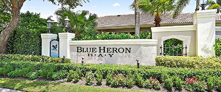 blue-heron-bay-2