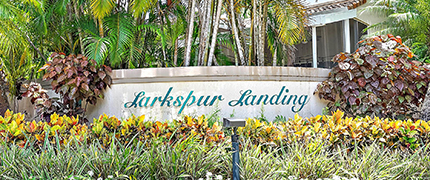 larkspur-landing-2